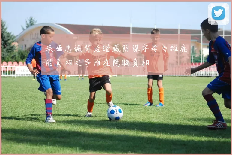 表面忠诚背后暗藏阴谋字母与雄鹿的真相之争谁在隐瞒真相